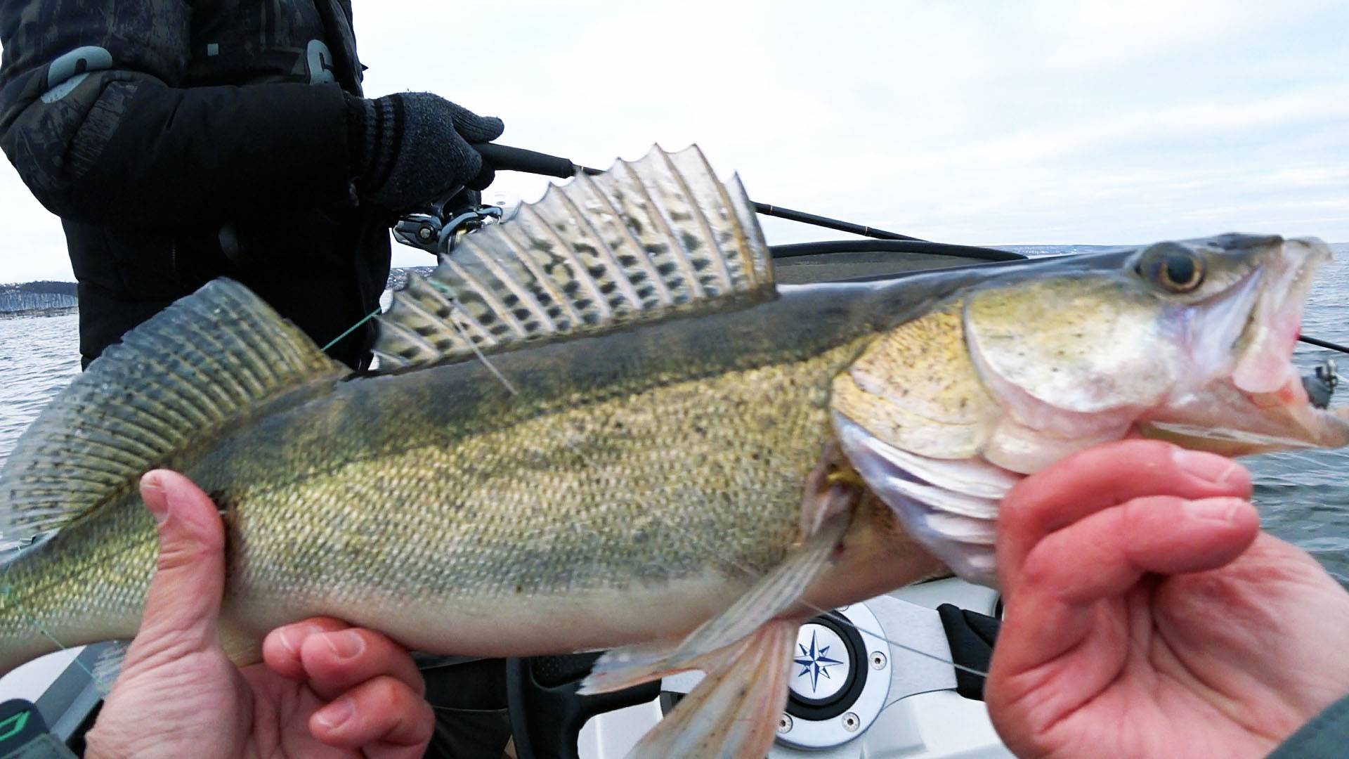 Вечерний судак. Как я установил Panoptix. Закрыли сезон смотреть онлайн