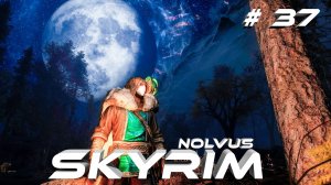 СкайримSkyrim #37 Теперь дамы в безопасности NOLVUS 2000+Модов Прохождение За Мага 2К