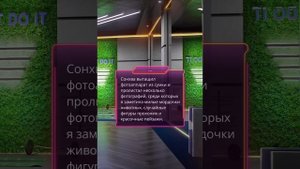 СОНХВА сцены в 8 серии 1 сезона |Эдемов Сад| Клуб Романтики