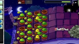 pvz
