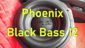 Обзор распаковка установка Phoenix Black Bass 12