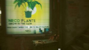 Stary начало игры от  2022-07-21 14-04-11