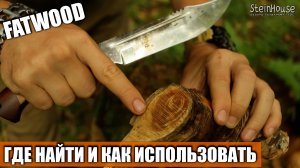 Что такое Fatwood. Где найти и как использовать смоляк в качестве растопки для огнива