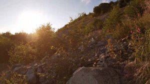 Гуляем по отливу и забираемся на сопки. Бухта Гертнера летним вечером 2020. Прогулки с Анжелиной