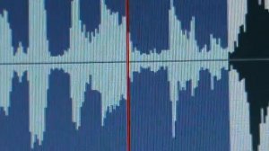 Elizabeth short the black dahlia-(ghost box scanner session)