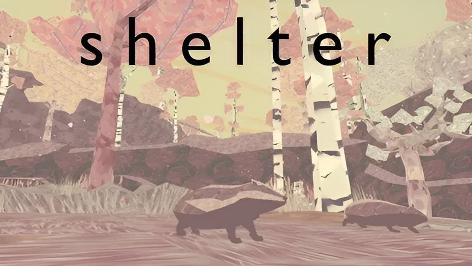 #4 Попробовал. Shelter