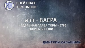 Недельная глава Торы - Парашат а-шавуа - "ВАЕРА" 5785/2024. Дмитрий Калашник