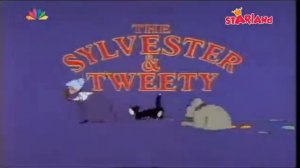 Sylvester and Tweety Mysteries-English