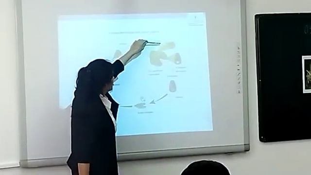 Мүктер мен қырықжапырақтардың тіршілік циклі.Гаметафит.Спорафит