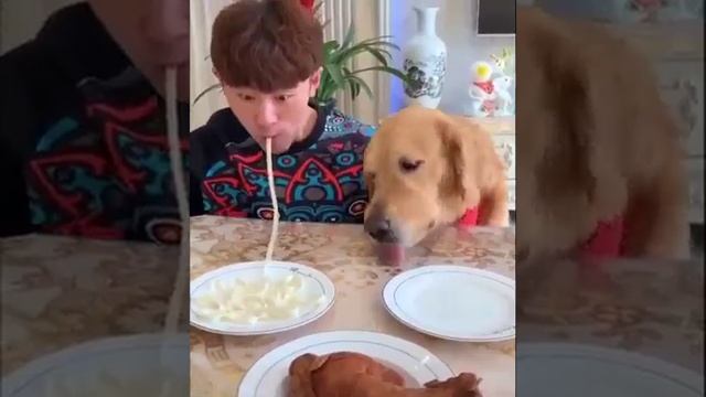 Наперегонки