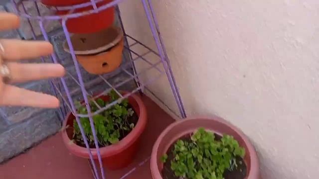 Влог 20. Мила впервые в сари смотреть онлайн