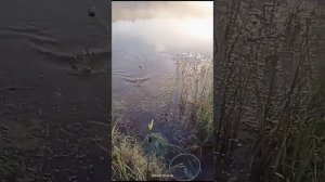 1000025649.mp4