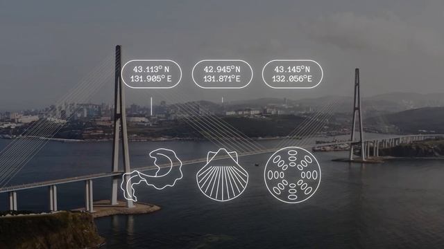 VVO Мерч | Promo смотреть онлайн