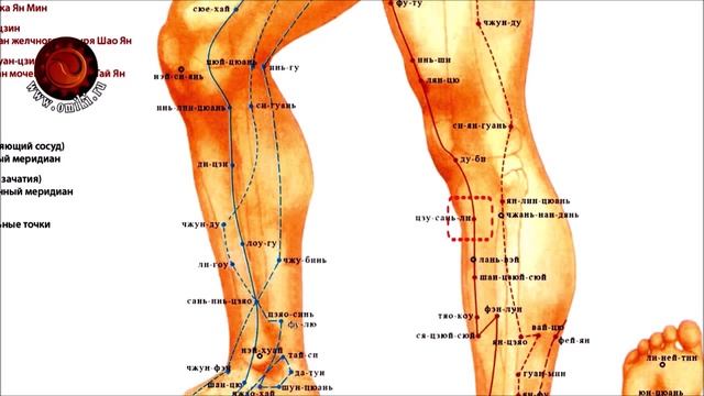 7 волшебных точек на каждый день!