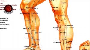 7 волшебных точек на каждый день!