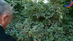 «Вахтар ва инсанар»