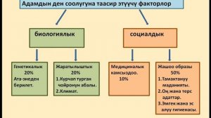 Адамдын турмушунда, эмгегинде, коомдук өнүгүшүндө ден-соолугунун мааниси.