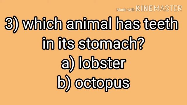 # The Fauna Quiz смотреть онлайн