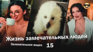 Жизнь замечательных людей 15