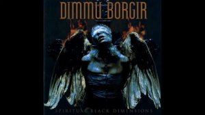 07 The insight and the catharsis