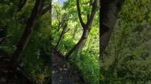 Сагада... экскурсия по селу...#туризм #