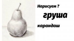 Как нарисовать грушу карандашом