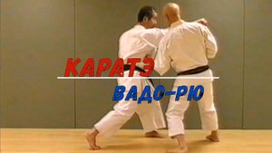 Каратэ Вадо-рю
