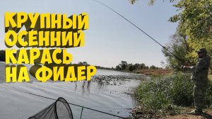 ФИДЕР НА УТРЕННЕЙ ЗОРЬКЕ. ЛОВЛЯ ОСЕННЕГО КАРАСЯ НА ОЗЕРЕ! ПОЙМАЛ ЛИНЯ!