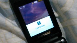 Samsung GT-S3600i - Low Battery