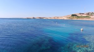 Park Regency Риф ч.1