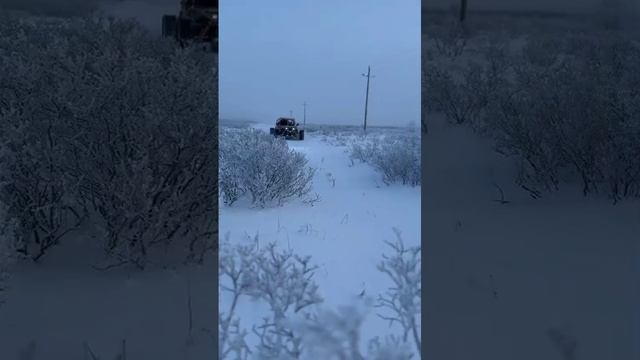 Полноприводная Багги R481 45/55 смотреть онлайн