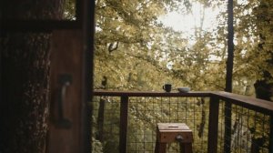 2869089-hd_1920_1080_24fps