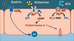 Proton pump inhibitors (PPI) vs H2 blockers