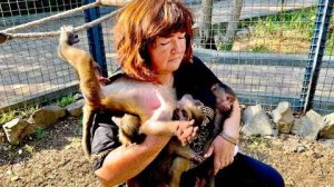 Три гамадрила это много! Степа устроил маме ВЫРВАННЫЕ ГОДЫ!