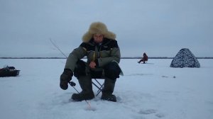 Рыбалка на судака и окуня в январе. ВЕРХНЕУРАЛЬСКОЕ водохранилище.