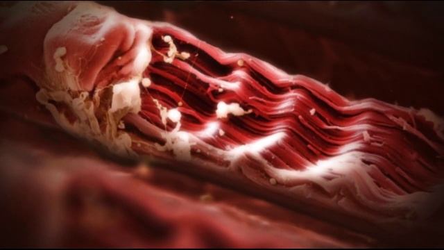 НАШИ КОСТИ КРЕПЧЕ БЕТОНА? А МЫШЦЫ ДАЮТ НЕВЕРОЯТНЫЕ ВОЗМОЖНОСТИ К УКРЕПЛЕНИЮ ЗДОРОВЬЯ.