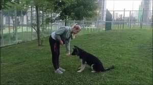 ВЕО. Анабель Ауда - 1-й помёт