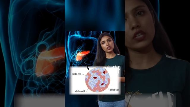 Heterocrine Glands | Chemical coordination and integration | Akansha Mam #heterocrineglands #bio