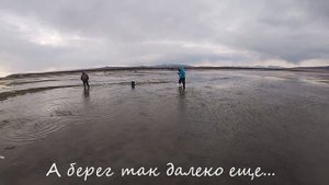 Бомбическая рыбалка в Магадане!Ловим селедку руками!Это нечто!Собираем селедку по отливу.Магадан2020