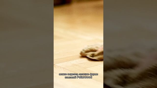 Самый дешёвый паркет
