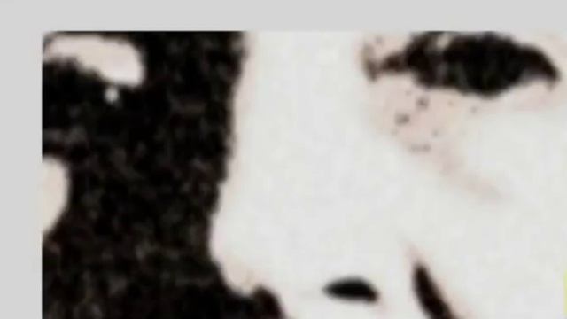 СТАРЕНИЕ НА КЛЕТОЧНОМ УРОВНЕ.