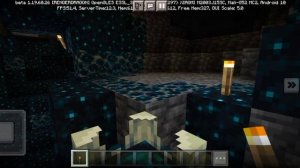 я нашёл тёмные глубины в Майнкрафте кошак тошан