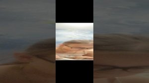 Открытки