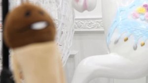 Sigma 17-50 2.8 OS HSM Canon 700D