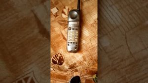 Страшилка гробик на колёсиках