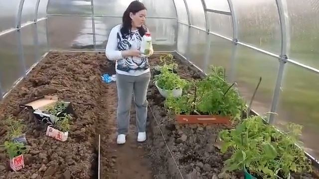 Как повысить урожай