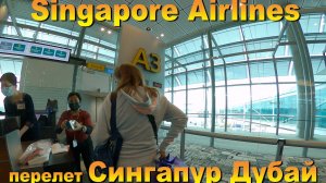 Singapore Airlines перелет Сингапур Дубай. 10 лучших островов для отдыха. #сезонконтентаRUTUBE