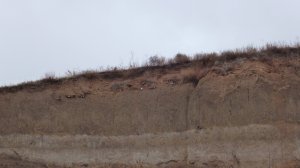 Остановись, задумайся о вечности
