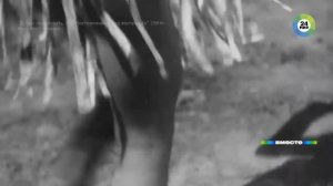 Как жили советские пионеры