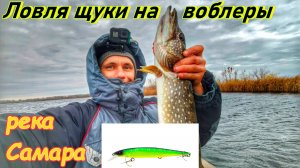 ЛОВЛЯ ЩУКИ ПОЗДНЕЙ ОСЕНЬЮ НА ВОБЛЕРЫ/ЩУКА НА СПИННИНГ/ РЫБАЛКА НА РЕКЕ САМАРА/ЛОВЛЯ СПИННИНГОМ/2024